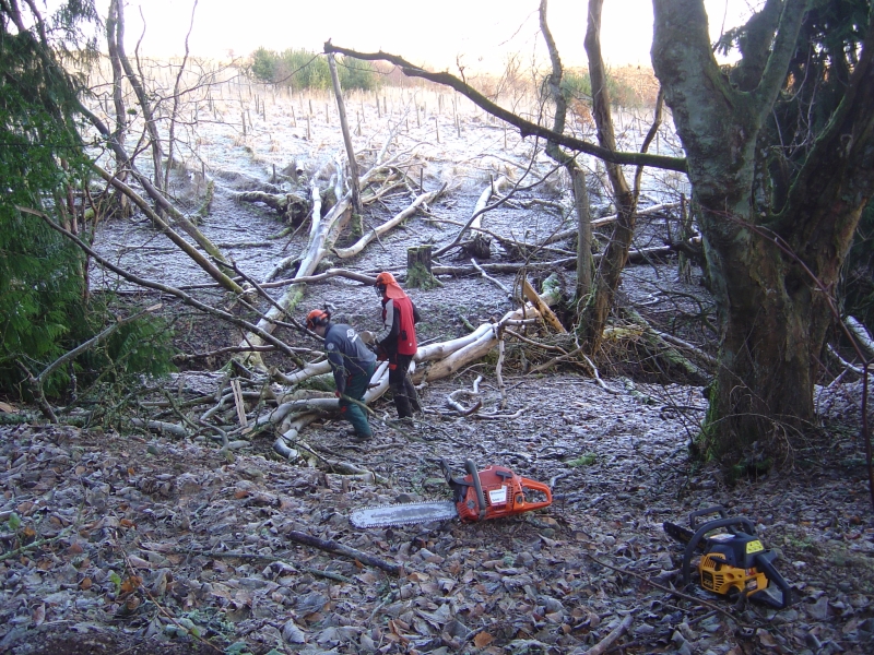 12th January 2008 012